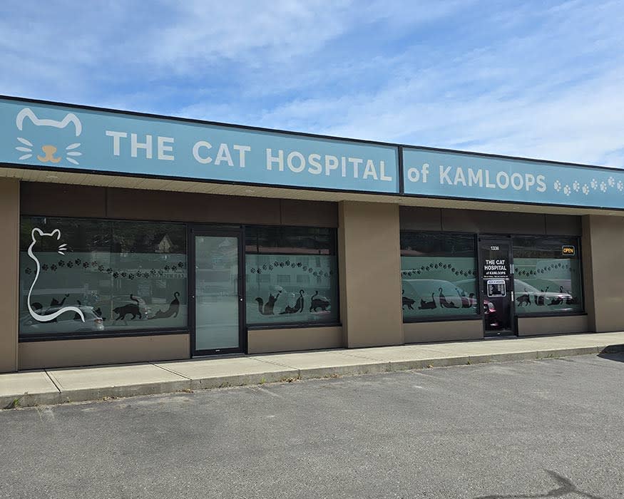 Cat Hospital of Kamloops in Kamloops