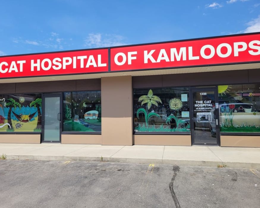 The Cat Hospital of Kamloops in Kamloops